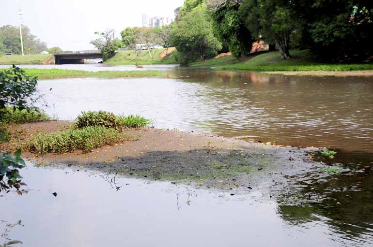 Marcos Zanutto Marcos Zanutto
