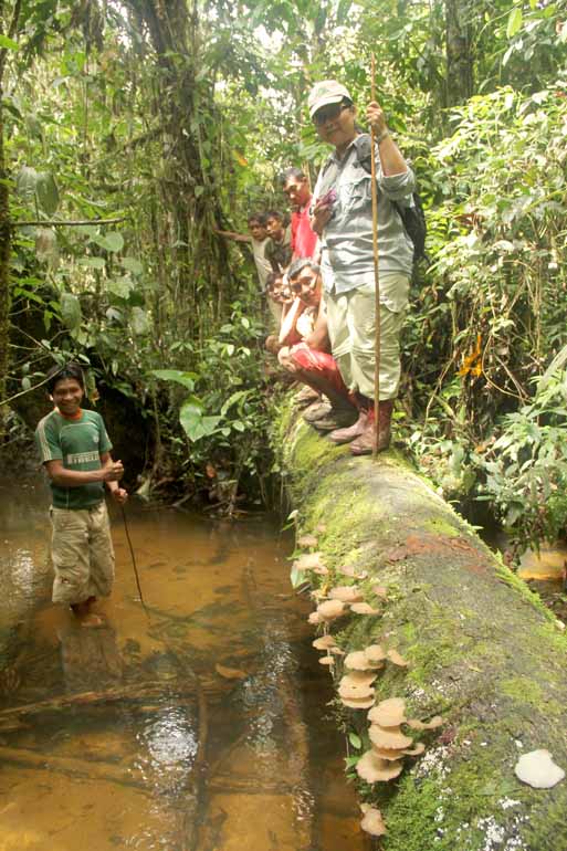 Divulgação - Segundo a pesquisadora Noemia Ishikawa, os índios não aceitam dinheiro e solicitam que o cogumelo seja trocado por mercadorias Divulgação - Segundo a pesquisadora Noemia Ishikawa, os índios não aceitam dinheiro e solicitam que o cogumelo seja trocado por mercadorias