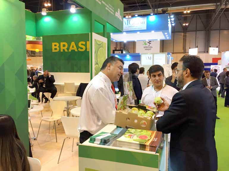 Odemir Capello/Divulgação - Produto teve aceitação excelente no Pavilhão Brasil da Fruit Attraction 2017, em Madri, em outubro Odemir Capello/Divulgação - Produto teve aceitação excelente no Pavilhão Brasil da Fruit Attraction 2017, em Madri, em outubro