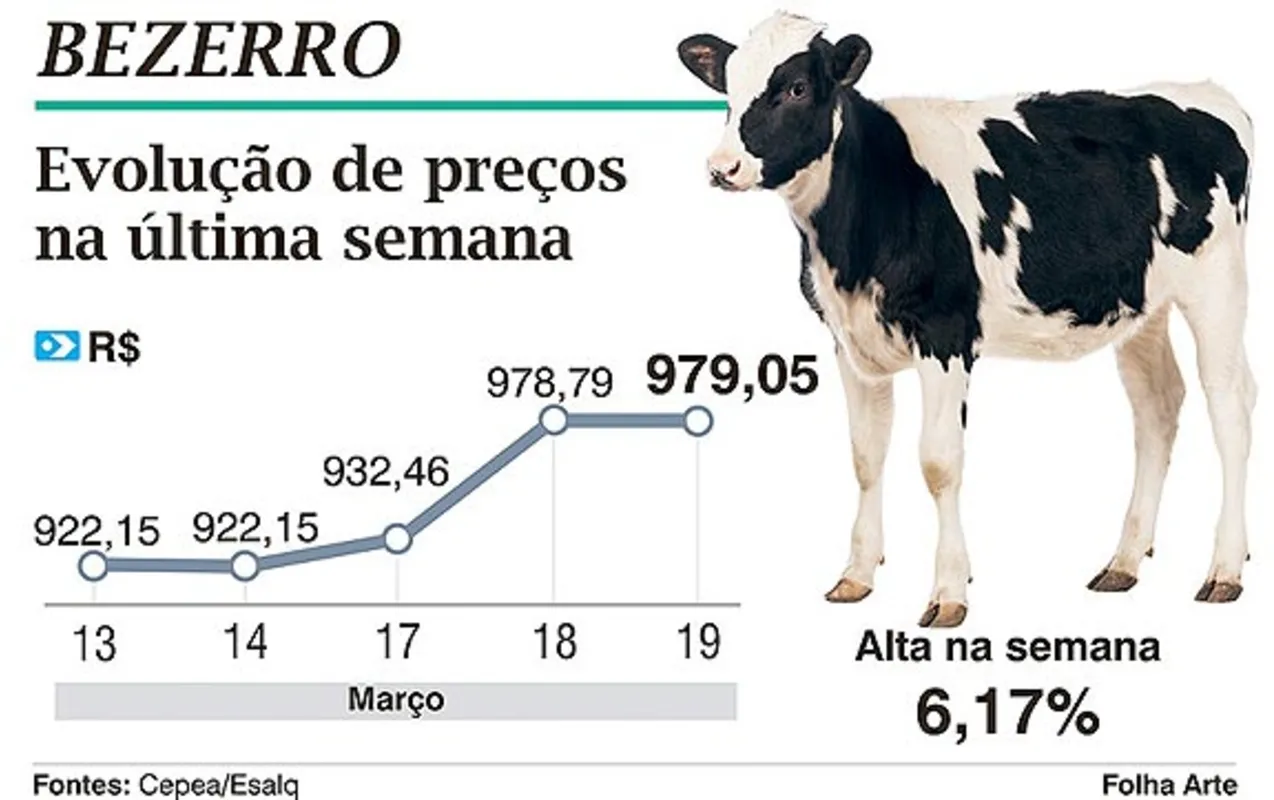 Imagem ilustrativa da imagem Preço do bezerro acumula alta de 11,5% em 2014