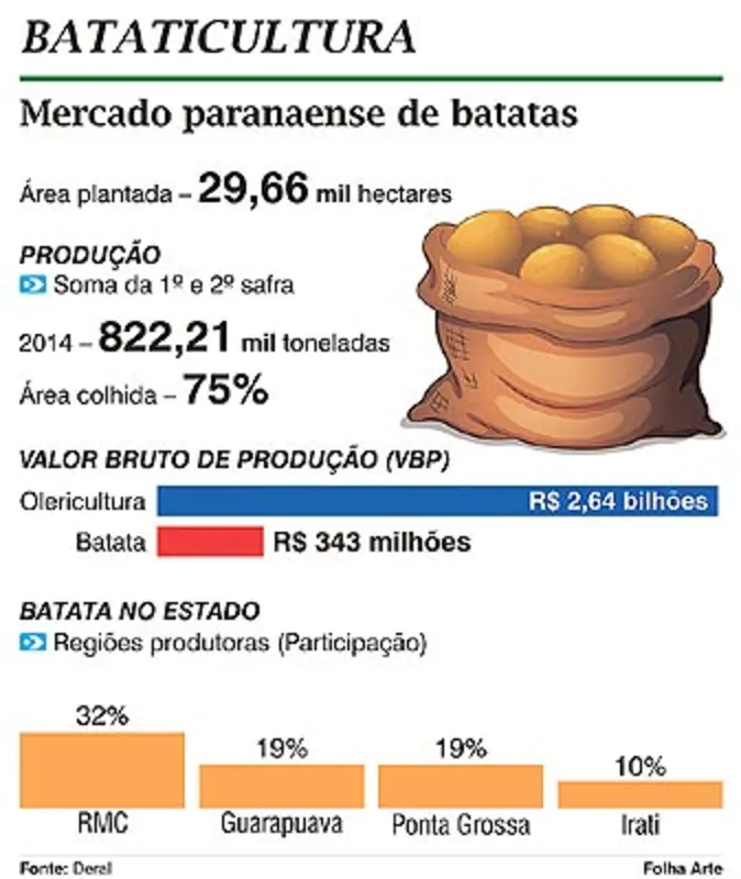 Imagem ilustrativa da imagem Paraná concentra grandes produtores de batata