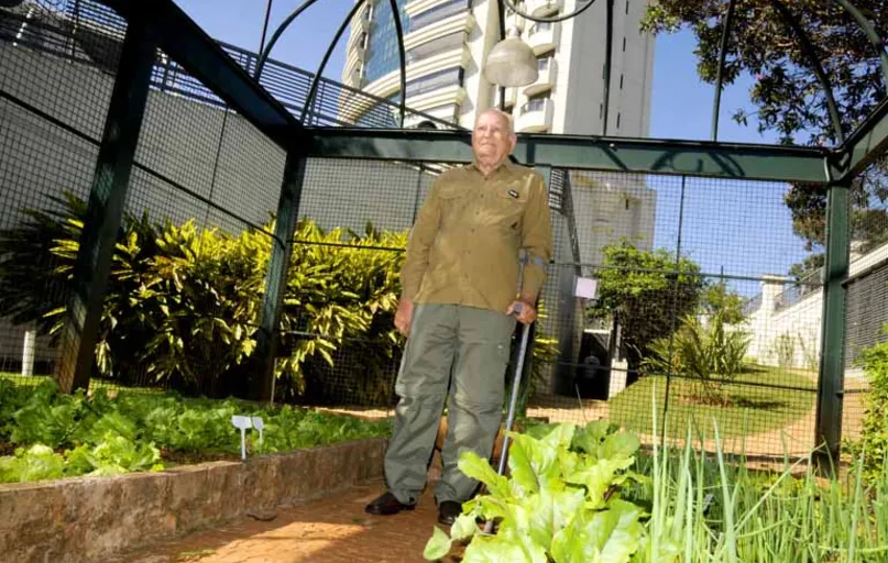 A dedicação do médico Nereu Genta garante a manutenção da horta do edifício, os demais moradores lucram com verduras fresquinhas