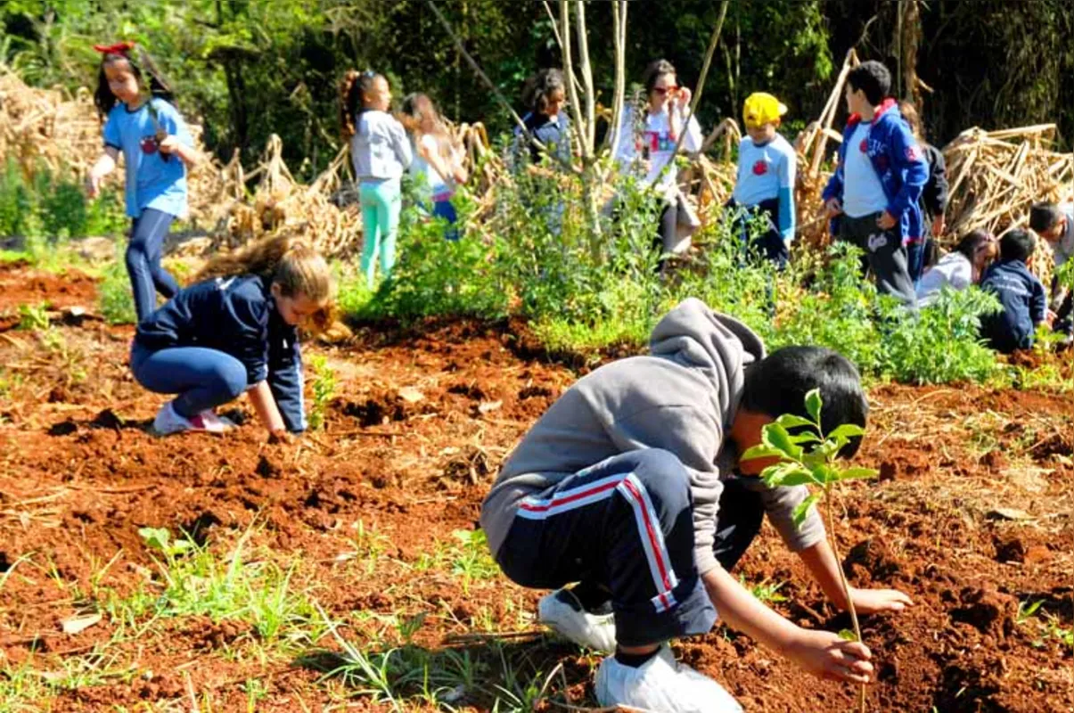 No Dia da Árvore, cerca de 50 alunos da Escola Municipal Maria Tereza Meleiro Amancio colocaram a mão na terra e plantaram sua muda