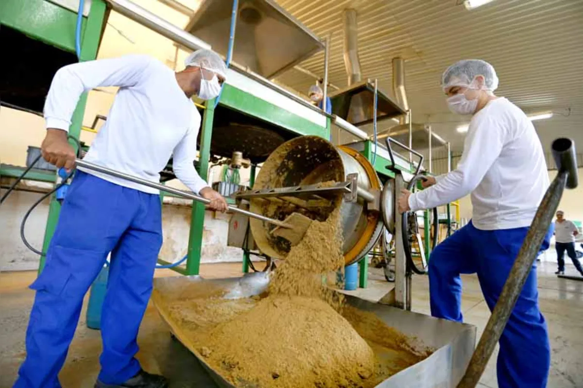 Com uma produção mensal média de 100 toneladas de açúcar mascavo, empresa Doce Brasil de Itambaracá estima crescer entre 20% e 25% em 2017