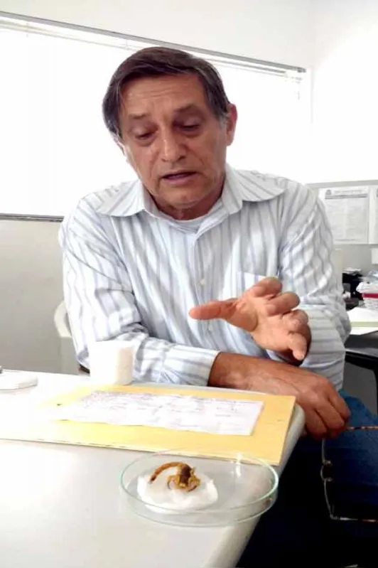 Dourival Ribeiro da Silva, agente de saúde pública: primeiros escorpiões foram encontrados no município há 14 anos