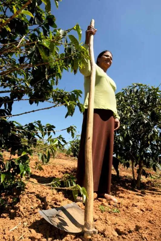 Na cafeicultura há 30 anos, Maria do Parto Teixeira se prepara para uma nova fase, a produção do café com qualidade exportação: "Tenho conhecimento e sei que posso fazer isso aqui na minha propriedade