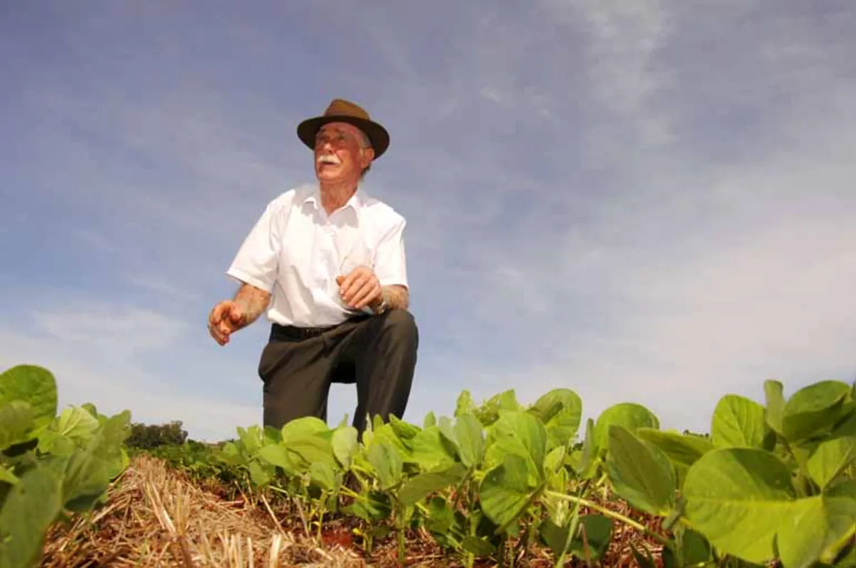 Waldemiro Kopp, de 86 anos: "A terra do Norte do Paraná é a melhor do planeta, mas tem que cuidar. Na seca, ela empedra; molhada, fica compactada"