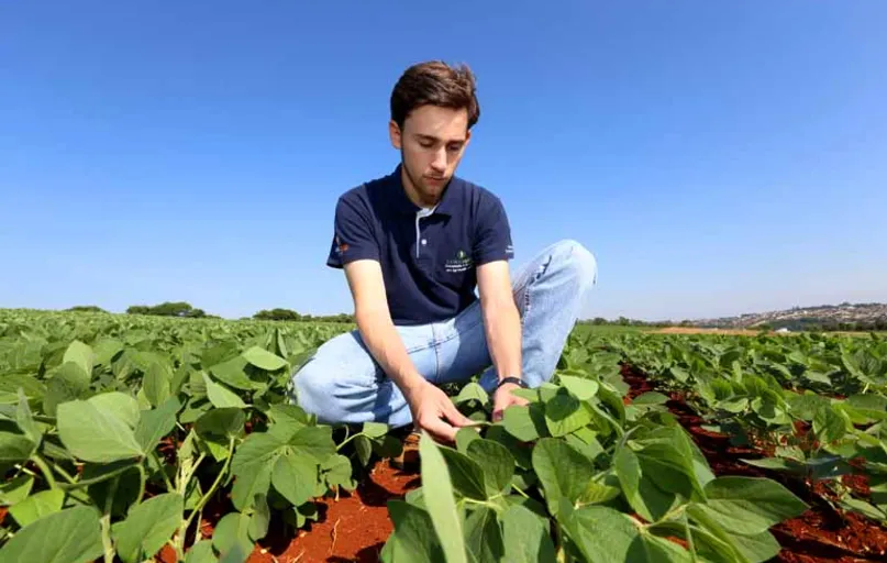 Estimulado pelo Jovem Agricultor Aprendiz, Lukas Reghin está cursando Agronomia na UEL, envolvido em outros projetos da universidade visando à profissionalização da propriedade da família