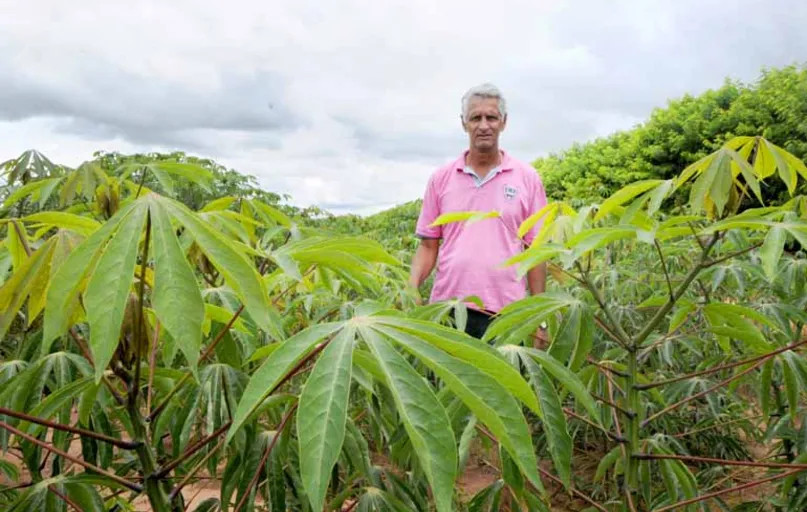 "Tive um prejuízo de 30% ou mais e fiz dívidas que ainda não terminei de pagar", diz o produtor Denilson Alves Lima, de Alto Paraná, que planta mandioca há 20 anos