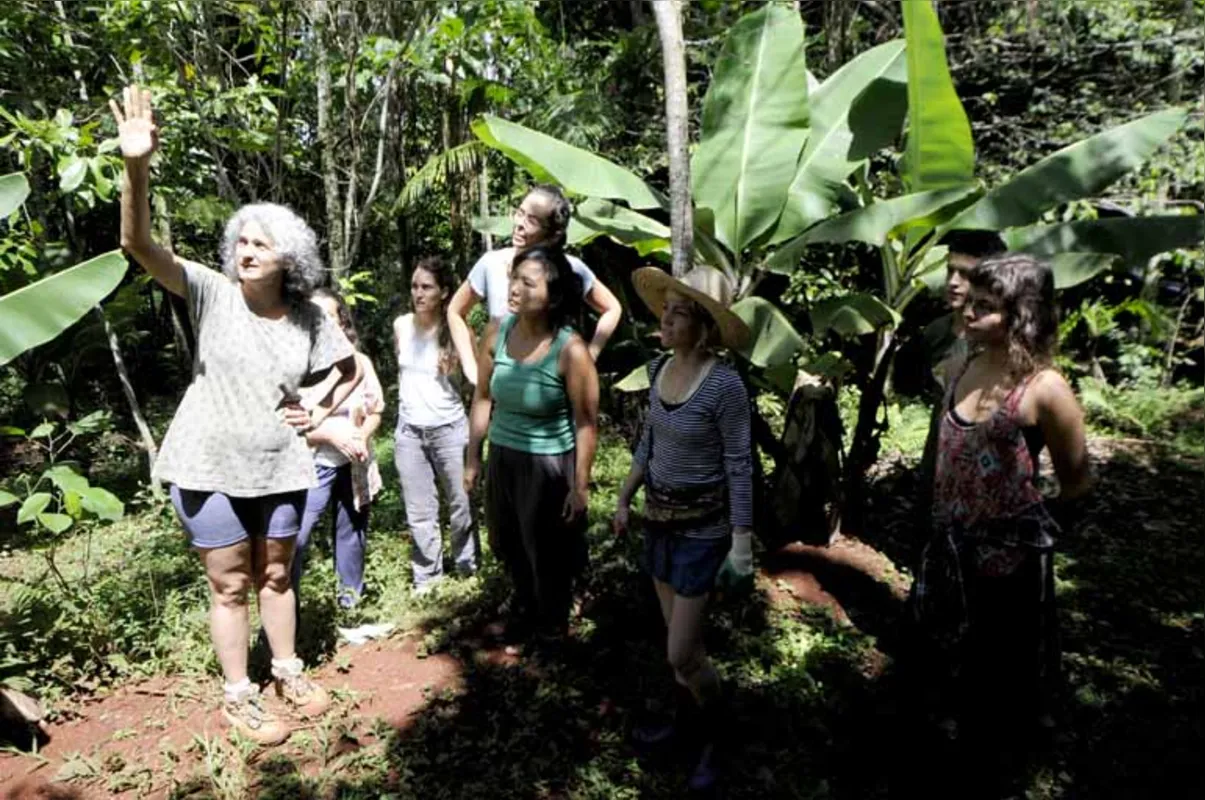 "O objetivo é sempre aproveitar os recursos do local e respeitar o biorregionalismo", diz Adriana Galbiati, engenheira florestal e permacultora, que ministra cursos sobre o assunto