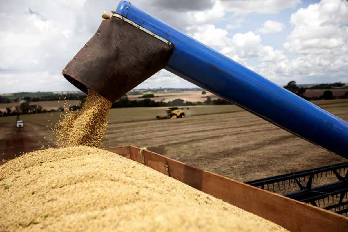 Produtividade média para a soja no Estado deve ser 13% maior do que em 2016, com 3,6 mil quilos por hectare (kg/ha)