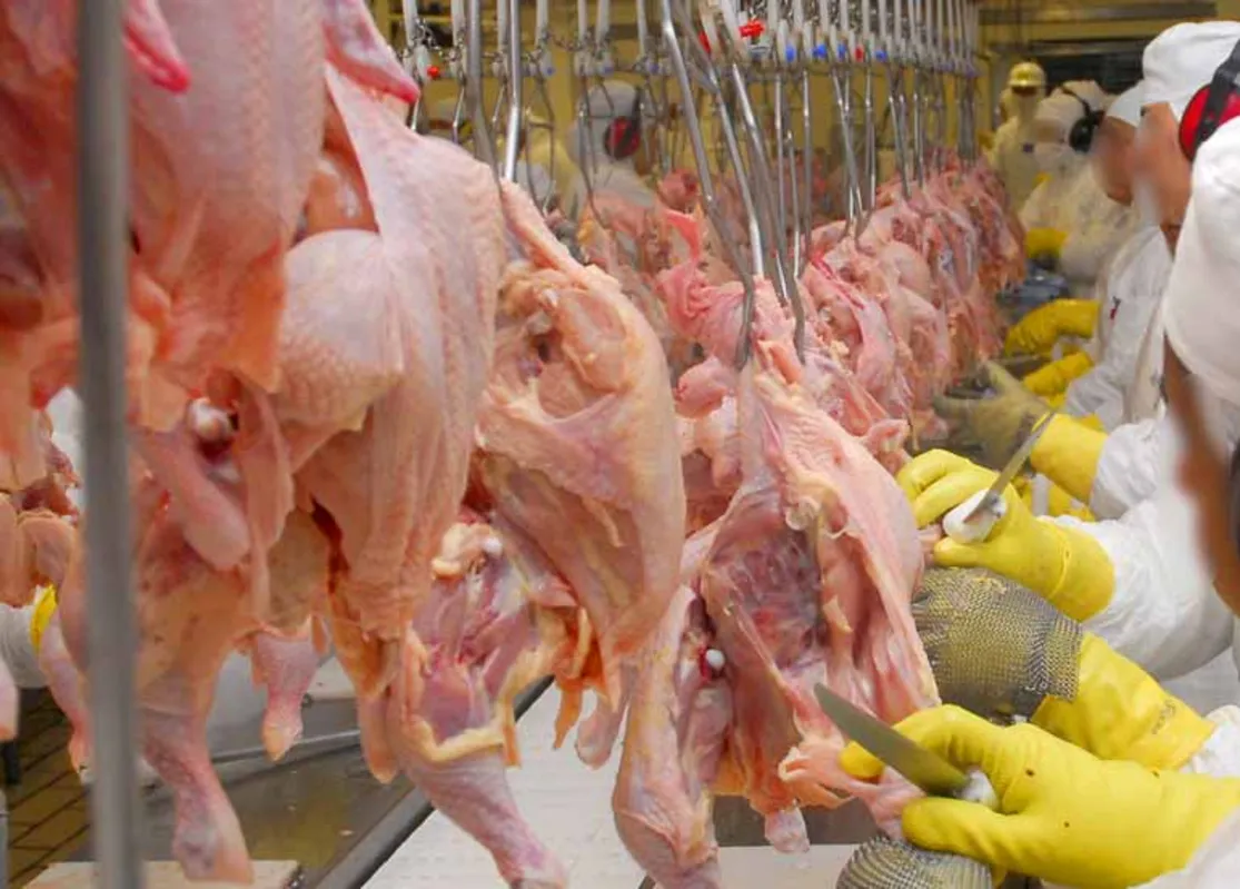 Junto com soja em grão e farelo e automóveis, os embarques de frango impulsionaram as vendas externas no Estado este início de ano