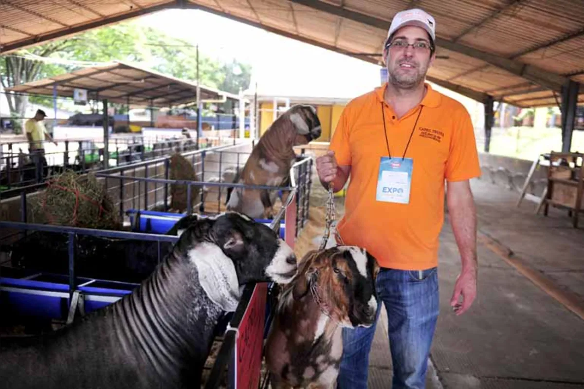 Rodrigo Truffa, de Jundiaí (SP), entrou na atividade após ganhar uma cabra de presente de um paciente: "Quero me tornar uma referência em genética de caprinos"