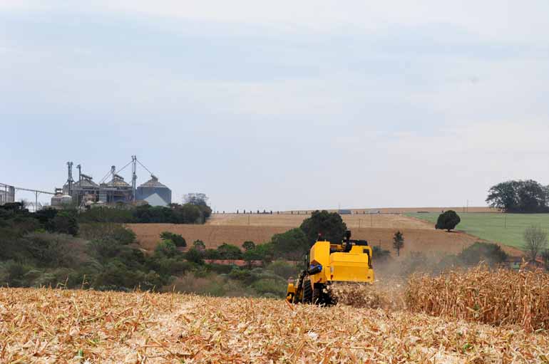 Quadro deve se agravar com a colheita do milho safrinha; produtores seguram venda devido aos baixos preços tanto da soja quanto do milho