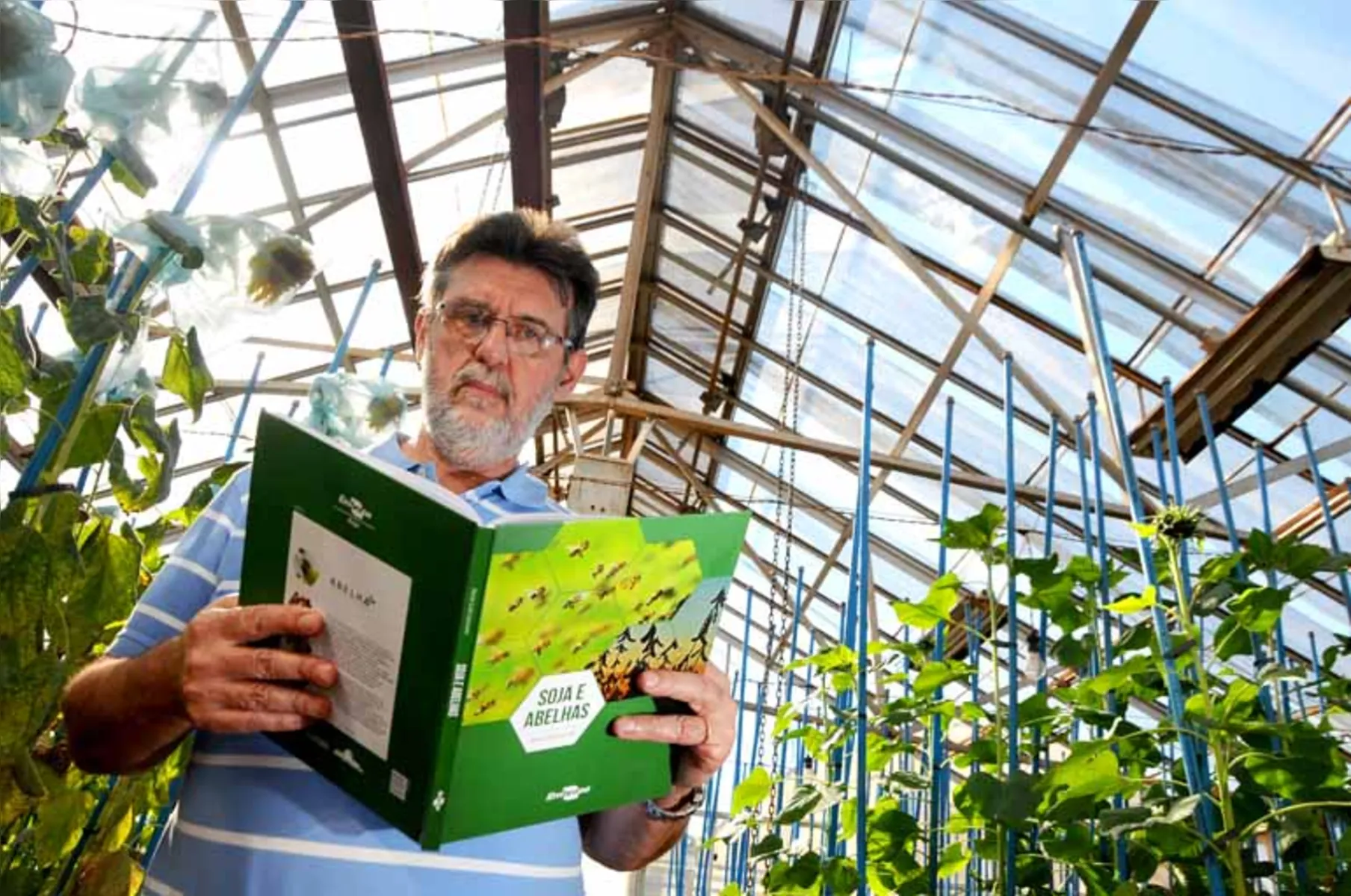 O engenheiro agrônomo e pesquisador Décio Gazzoni, autor do livro "Soja e abelhas", que pretende ser a linha base dos estudos sobre o assunto