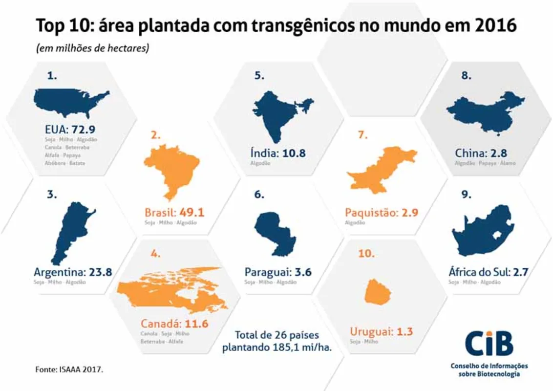 Imagem ilustrativa da imagem Brasil tem crescimento global na adoção de transgênicos