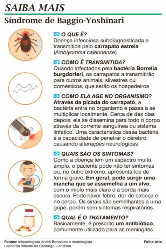 Imagem ilustrativa da imagem Londrina tem o primeiro caso de doença transmitida pelo carrapato
