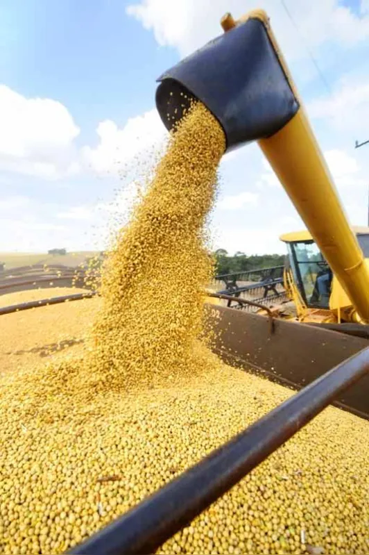 Imagem ilustrativa da imagem Quatro estados concentram quase 70% da produção de grãos do país