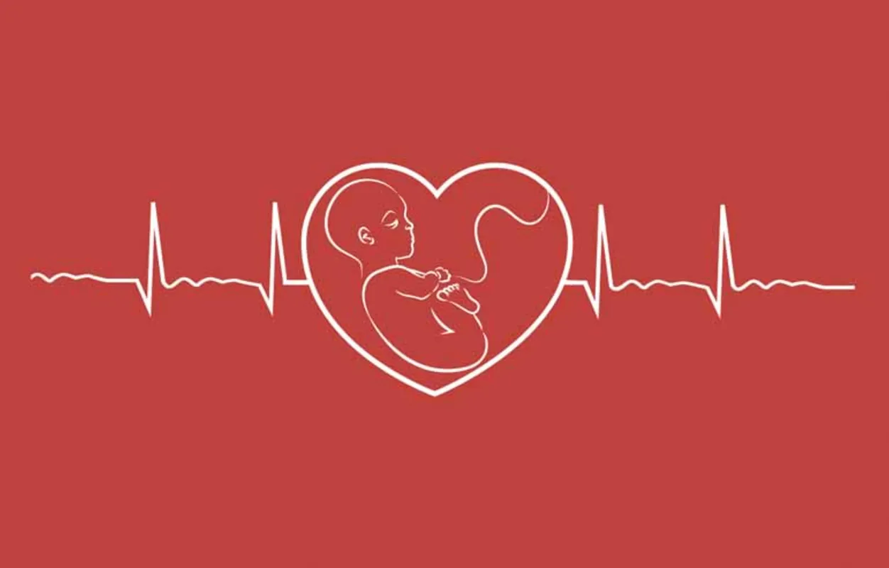 Imagem ilustrativa da imagem O coração do nascituro