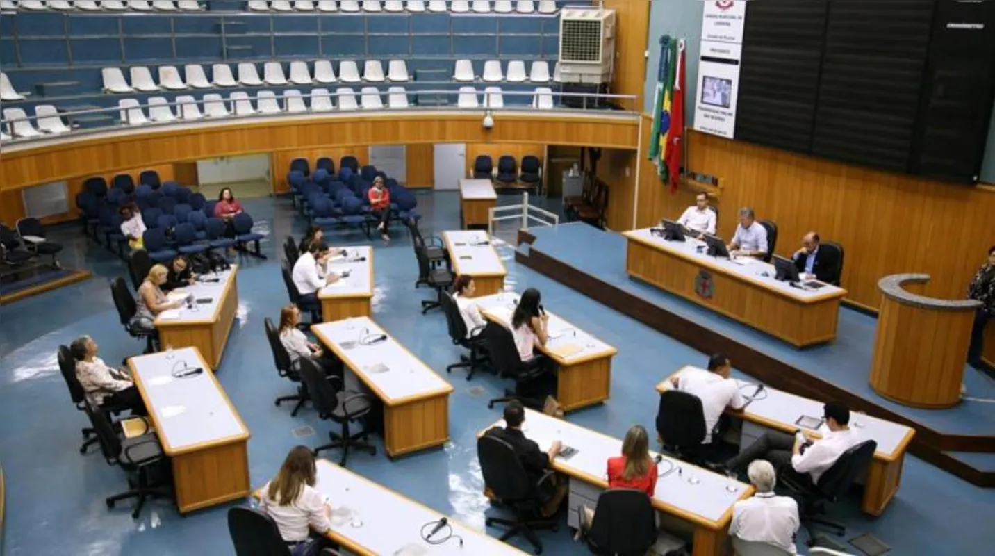 Imagem ilustrativa da imagem Câmara aprova instituição do Dia do Nascituro em Londrina