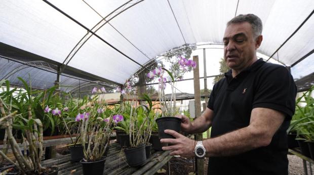 Coordenador do Orquidário, Ricardo Tadeu Faria