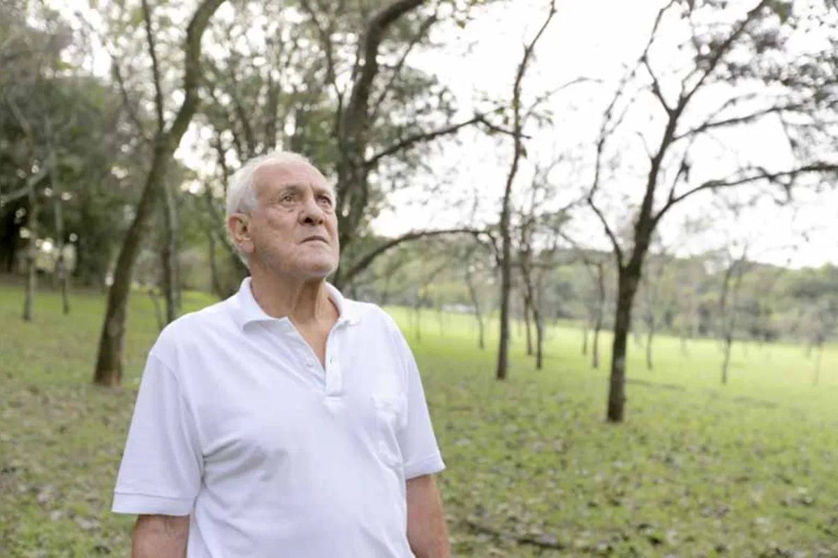 "Curitiba era uma cidade muito arborizada, mas perdia para Londrina e Maringá", relembra Noé da Silva, que chefiou a Divisão de Parques e Jardins, entre 1969 e 1985. Veja vídeo utilizando a tecnologia