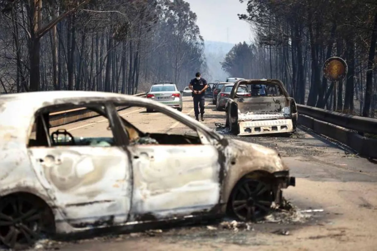 Das 62 vítimas do incêndio, 47 estavam na estrada nacional 236, que já está sendo chamada de rodovia da morte