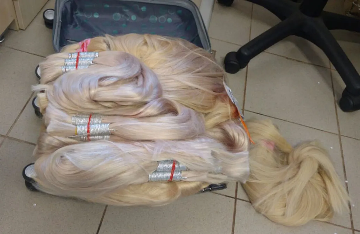 Imagem ilustrativa da imagem PF apreende mala com 25 kg de cabelo em Maringá