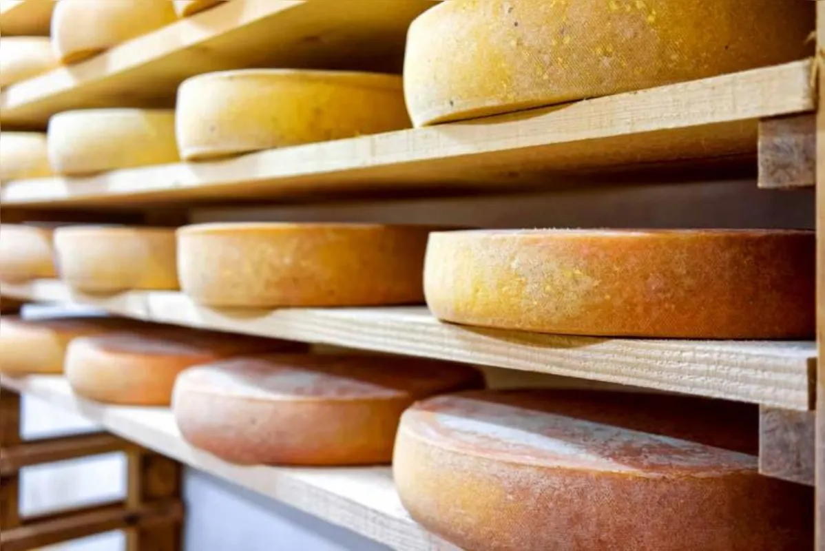 Período de maturação aprimora o sabor e apura características de determinados tipos de queijo