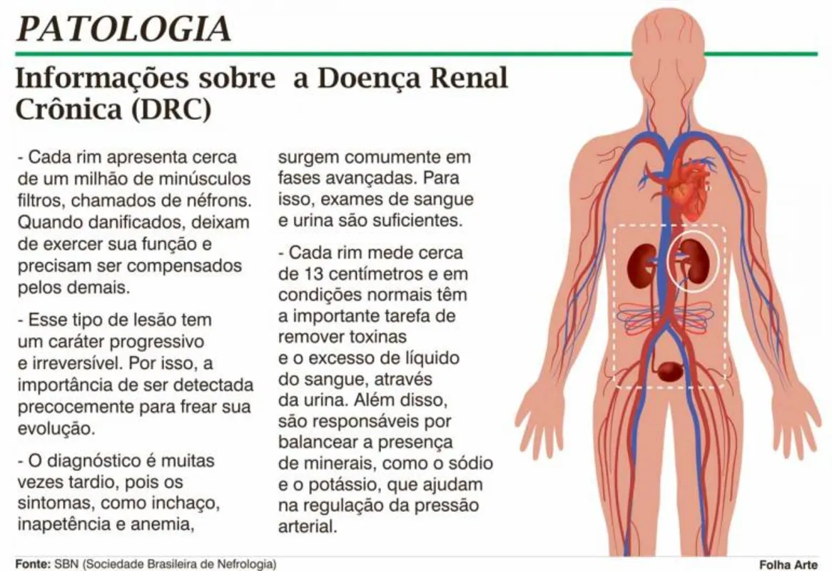 Imagem ilustrativa da imagem EPIDEMIA MUNDIAL - Doença renal crônica avança entre a população