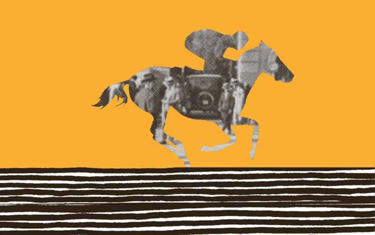 Imagem ilustrativa da imagem Os cavalos do Prado Curitibano