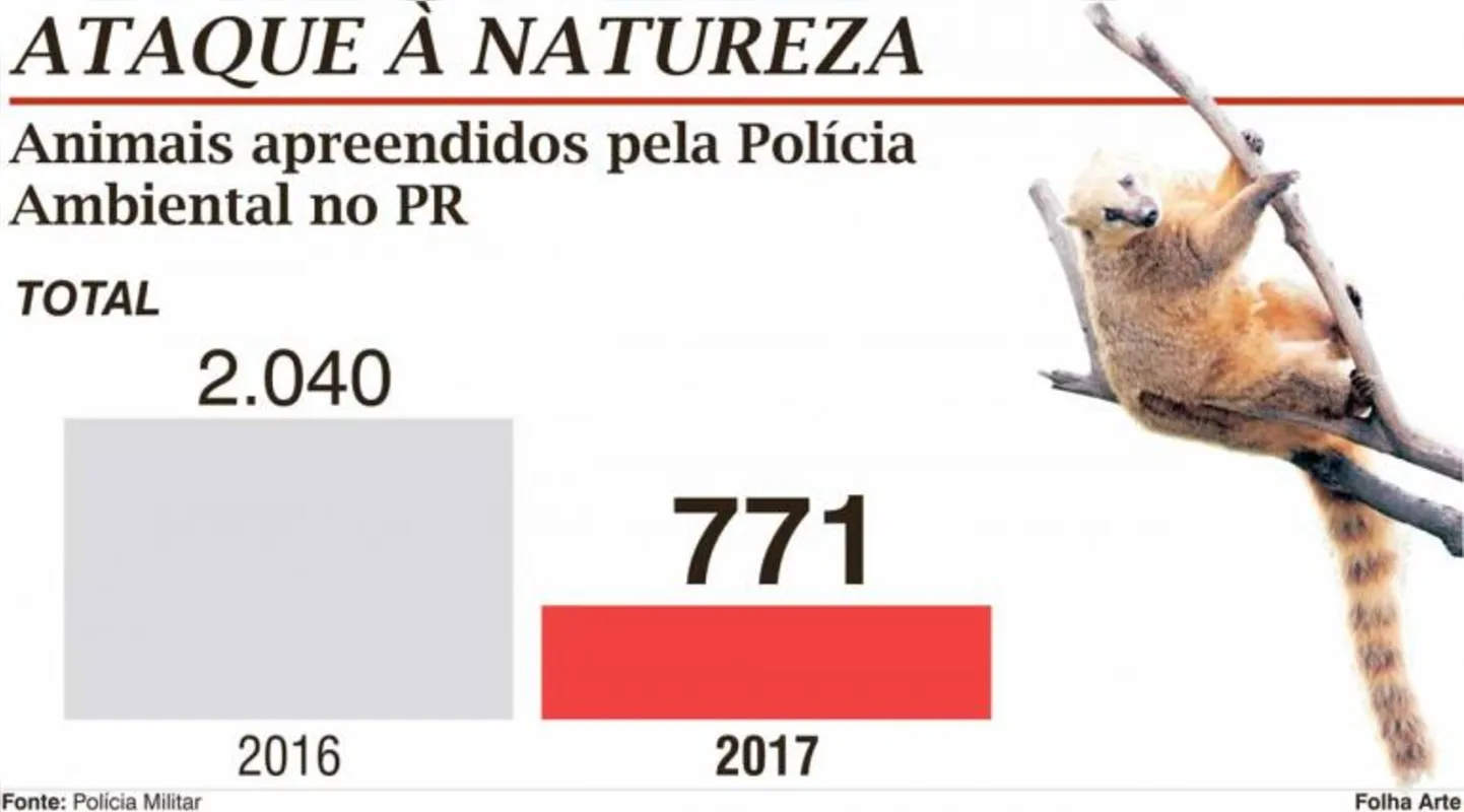 Imagem ilustrativa da imagem Paraná não tem estrutura pública para animais apreendidos