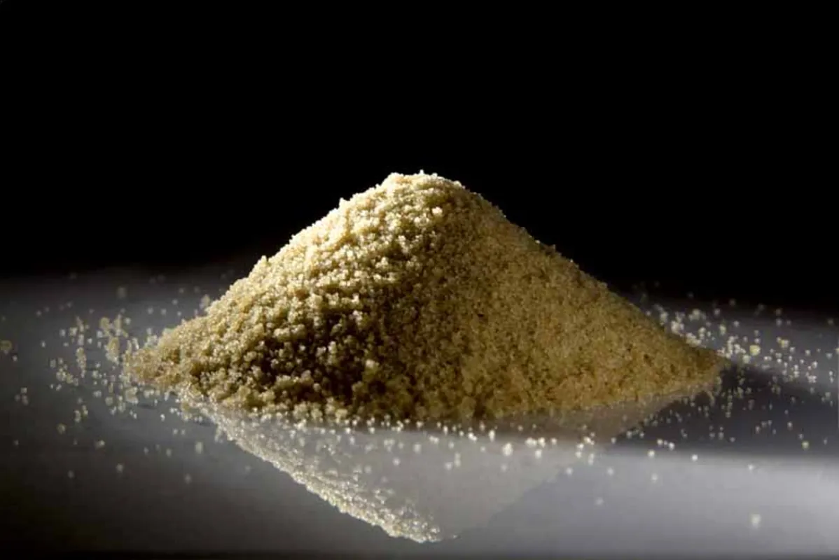 Imagem ilustrativa da imagem Fonio, 'grão milagroso' rico em nutrientes e aminoácidos