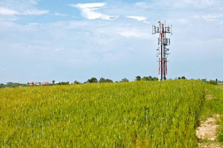 Ainda que o sinal no campo não seja tão bom quanto na área urbana, moradores acham mais prático acessar a internet pelo celular