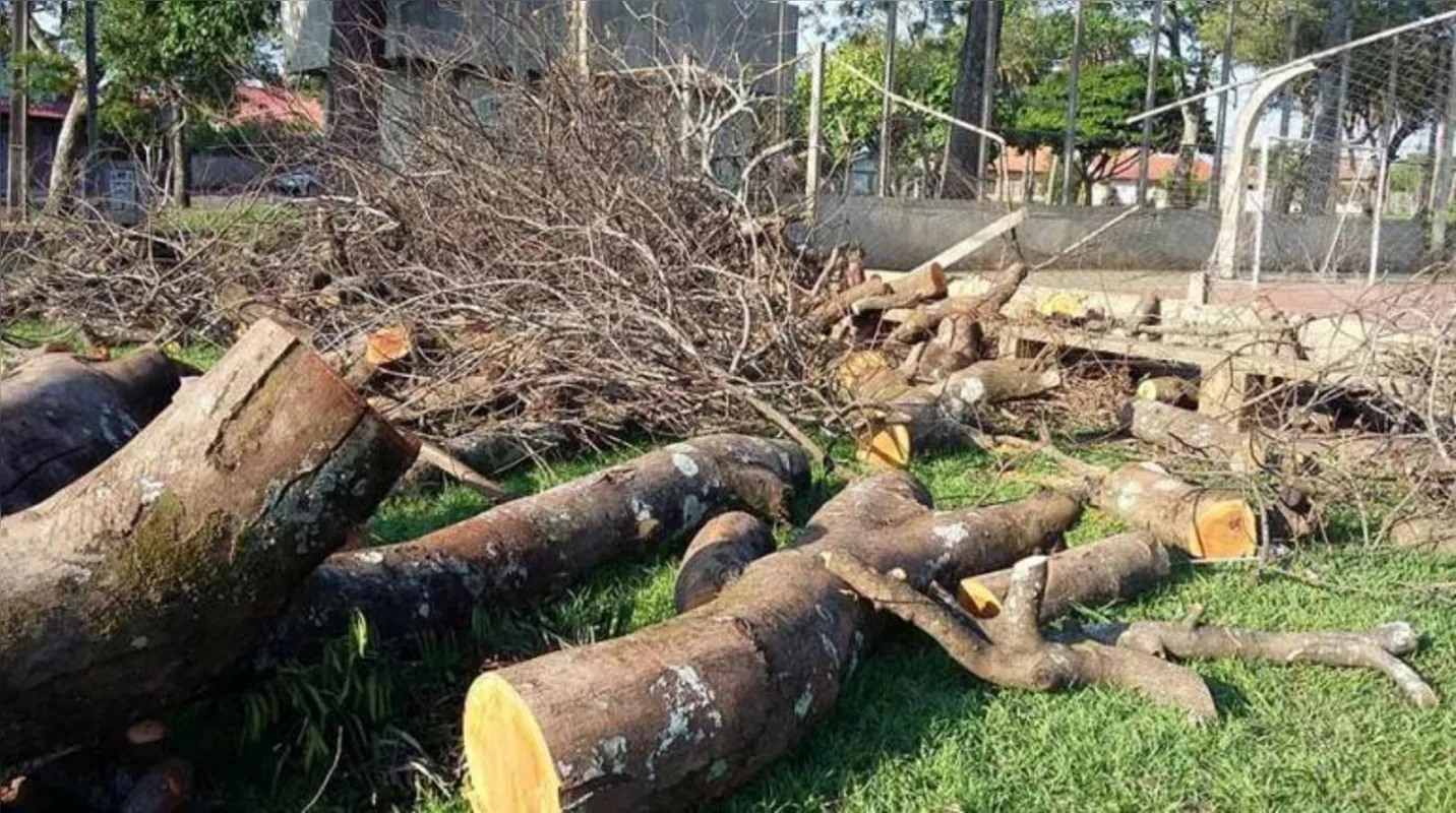 Imagem ilustrativa da imagem Árvore cai e quebra alambrado de quadra esportiva no Jardim Bandeirantes