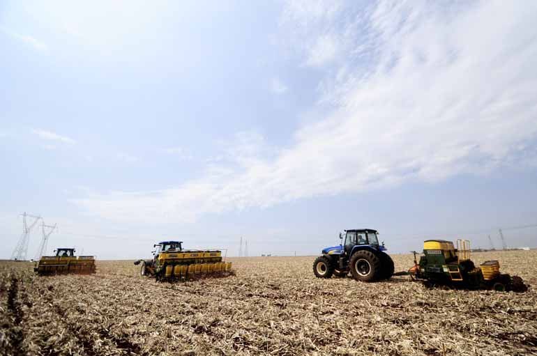 Ricardo Chicarelli - A área da soja este ano será de 5,4 milhões de hectares, alta de 3%, com uma produção de 19,5 milhões de toneladas, queda de 2% em comparação a 2016 Ricardo Chicarelli - A área da soja este ano será de 5,4 milhões de hectares, alta de 3%, com uma produção de 19,5 milhões de toneladas, queda de 2% em comparação a 2016