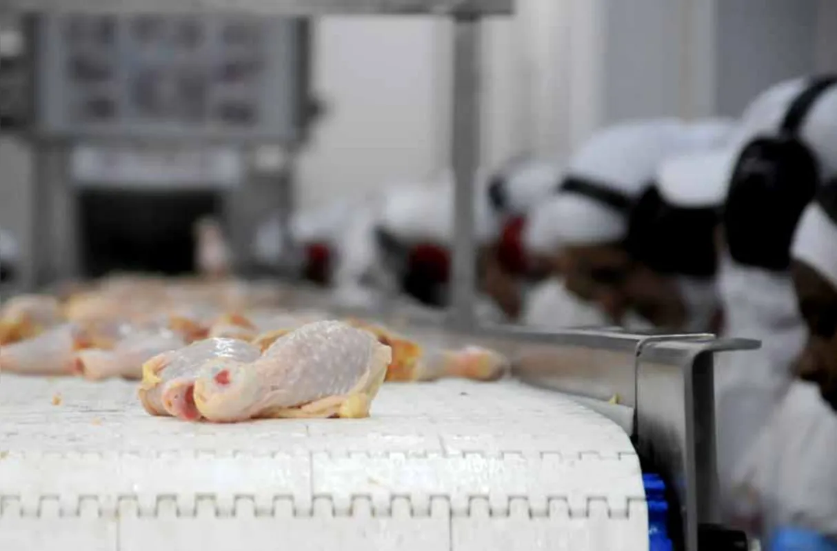 As carnes ocuparam a segunda posição no ranking, com destaque para o frango (US$ 623,78 milhões)