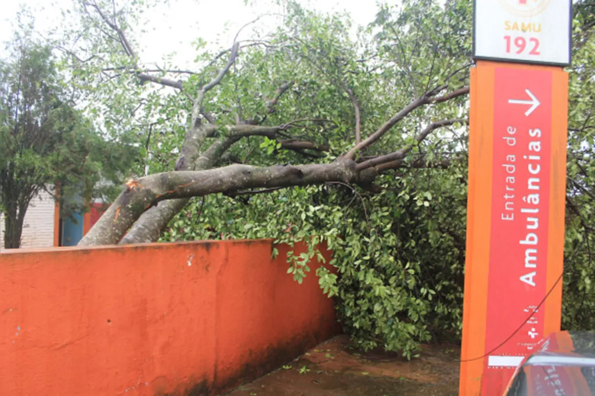 Imagem ilustrativa da imagem Tempestade destelha casas, derruba postes e árvores em Tamarana; prefeitura levanta estragos