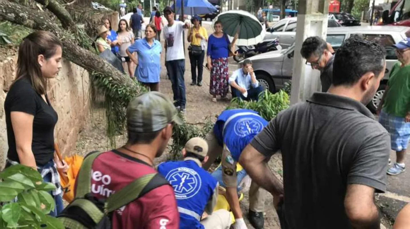 Imagem ilustrativa da imagem Fiscal da Zona Azul atingida por galho em Londrina morre no hospital
