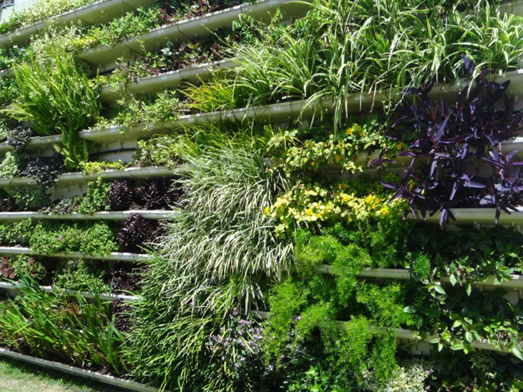 Imagem ilustrativa da imagem Jardins verticais como decoração e solução