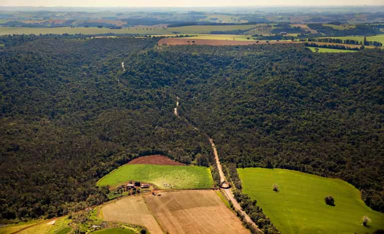 O Parque Estadual da Mata dos Godoy possui 675,70 hectares de floresta subtropical inseridos no bioma da Mata Atlântica