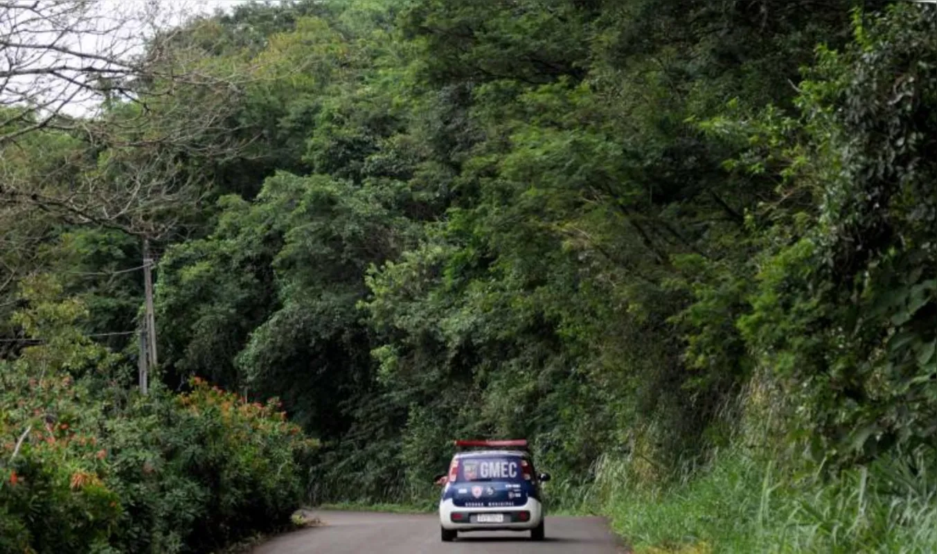 Propriedades próximas à cidade, como as da Estrada da Cegonha (na região de Londrina), tornaram-se mais vulneráveis; agora elas também vêm sendo monitoradas pela Guarda Municipal