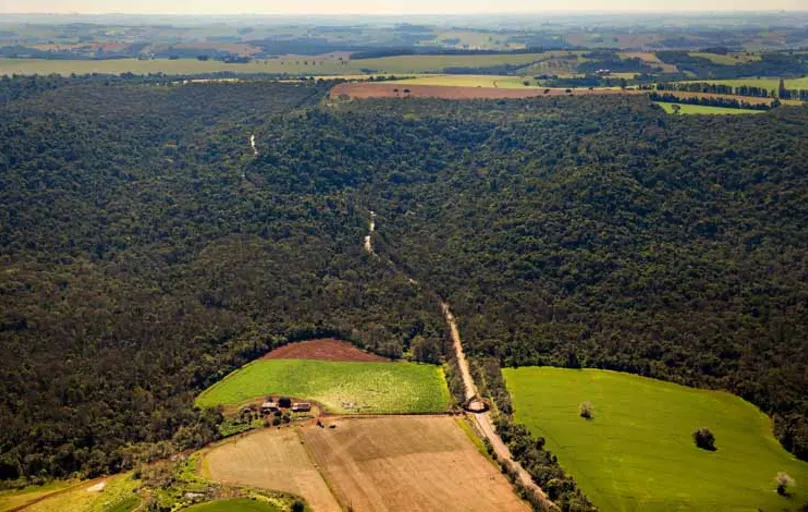 O Parque Estadual da Mata dos Godoy possui 675,70 hectares de floresta subtropical inseridos no bioma da Mata Atlântica