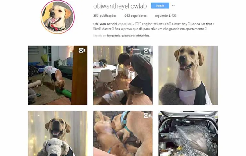 O técnico de informática Halisson Torrecillas criou um perfil no Instagram para Obi-Wan, um labrador, de 11 meses: "Nosso objetivo é fazer com que ele seja feliz e saudável no apartamento"
