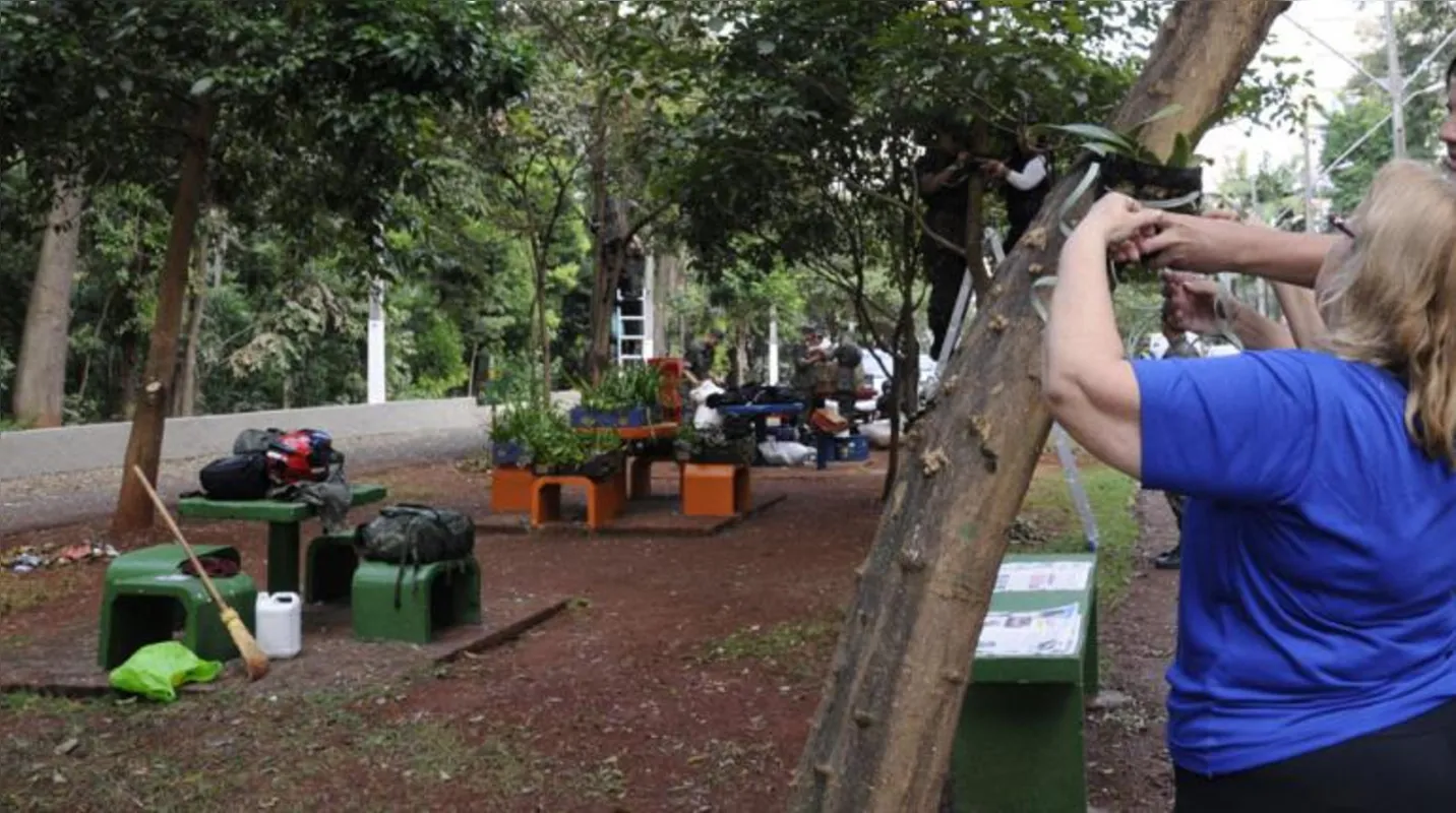Imagem ilustrativa da imagem Voluntários plantam orquídeas no Bosque de Londrina