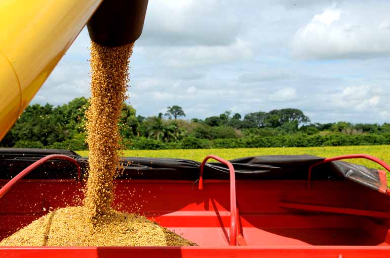 A produção do Paraná deve recuar 4%, de 19,8 milhões para 19 milhões de toneladas: segundo melhor resultado em toda a história