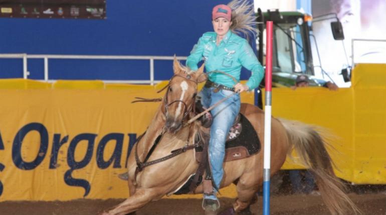 Assessoria ABQM