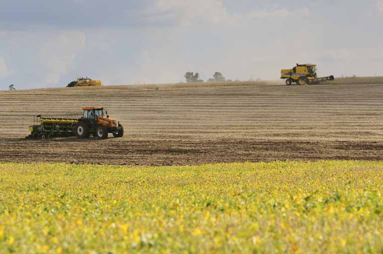 Tanto o Paraná quanto o Brasil devem ter ampliação da área plantada de soja de até 4%na próxima safra, em relação à anterior, que começa a ser plantada em setembro