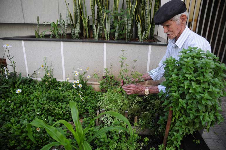 Um Jardineiro Recebeu Um Total De 987 Flores