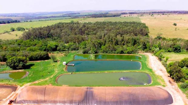 Divulgação - A fecularia Podium Alimentos, de Tamboara, conseguiu reduzir em 80% do uso de lenha em suas caldeiras Divulgação - A fecularia Podium Alimentos, de Tamboara, conseguiu reduzir em 80% do uso de lenha em suas caldeiras